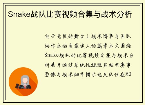 Snake战队比赛视频合集与战术分析